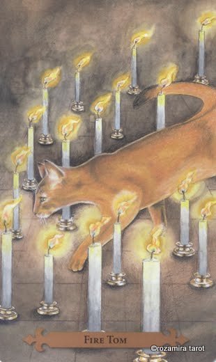 Mystical Cats Tarot